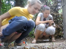 Обнажив песды девушки писают на улице